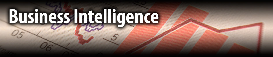 Business Intelligence